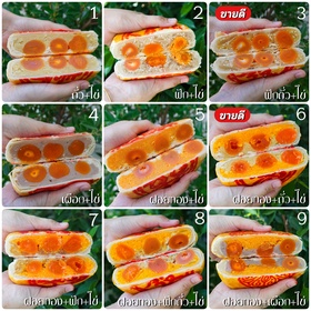 รูปสินค้า ขนมเปี๊ยะไข่เค็ม 5 ชิ้น 16 รสชาติ
