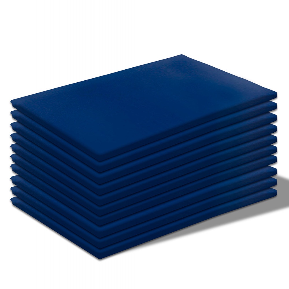 Kit 10 Colchonetes 85x45x3cm Espuma Academia Ginástica Corvin - BF Colchões