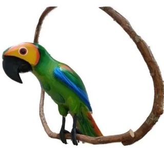 Papagaio em Madeira