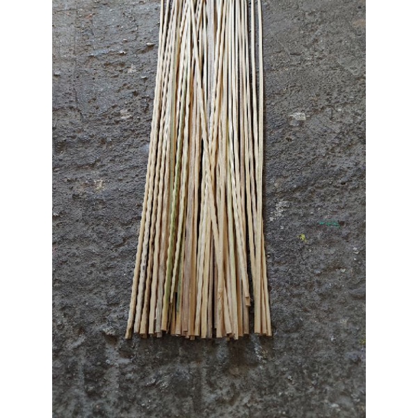 Bambu 100 unidades para Pipa Raia 55cm
