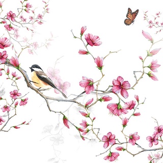 Guardanapo para Decoupage Cod71 Pássaro e Flores Fundo Branco - 2 Unidades Iguais - Guardanapo para Artesanato