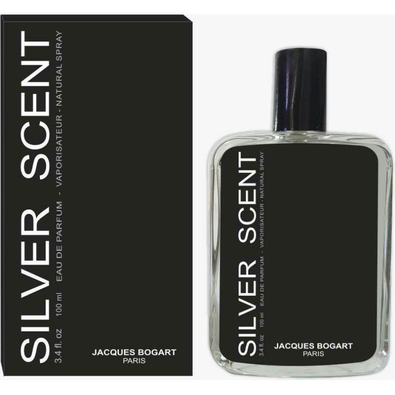 Perfume Silver Scent 100 ml | Shopee Brasil
