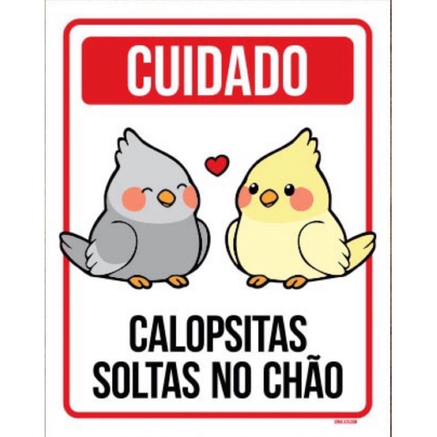 Plaquinha em MDF cuidado calopsita no chão.