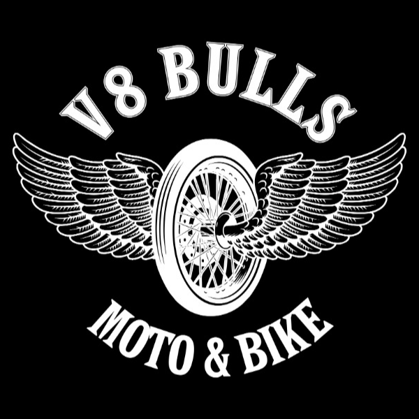 V8 Bulls Moto e bike