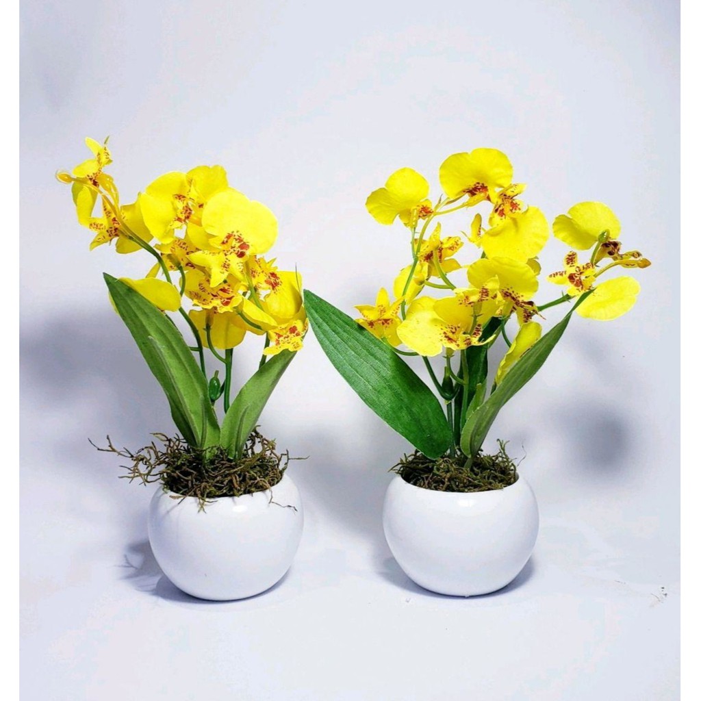 2 Lindos Arranjos Duo de Orquídea Chuva de Ouro Artificial \ Decoração de  Escritório , Sala , Cozinha , Banheiro , Nichos | Shopee Brasil