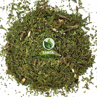 Thuia Cipreste 1Kg