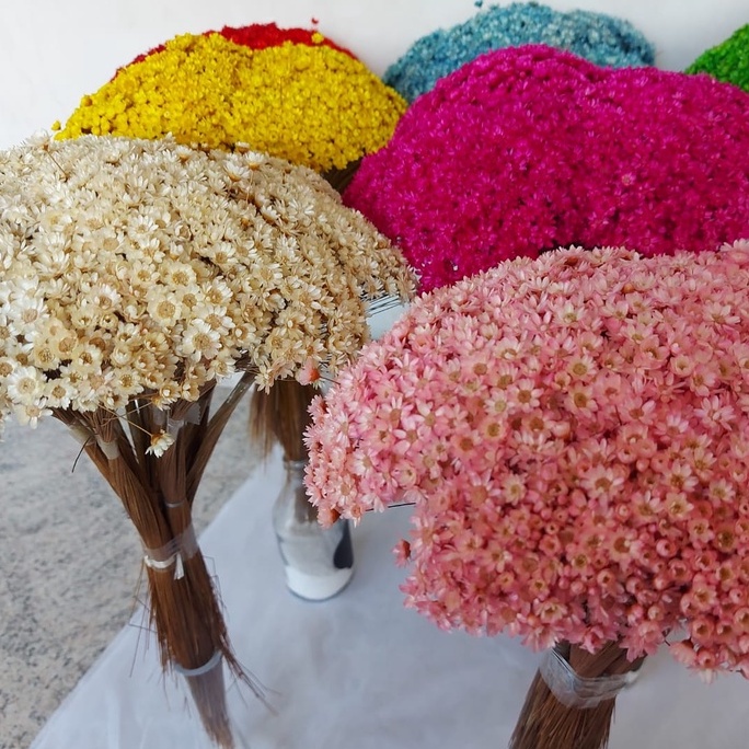1200 mosquintinhos FLOR SEMPRE VIVA - A 25 DE MARÇO