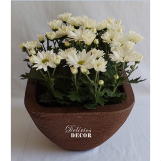 Vaso de Planta Decorativo Reciclável em Polietileno, Vaso Quadrado Cód. 66 em Oferta na Shopee