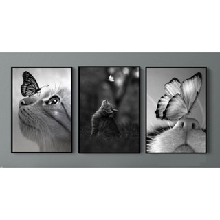Quadros Decorativos Gatos Pássaros Preto Branco 3 Peças