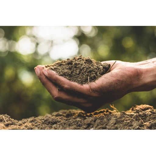Esterco de Porco adubo para as plantas e fruteiras pacote grande 5Kg