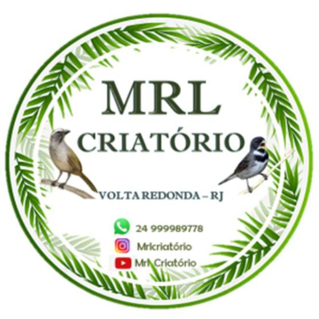 @MRLCriatório