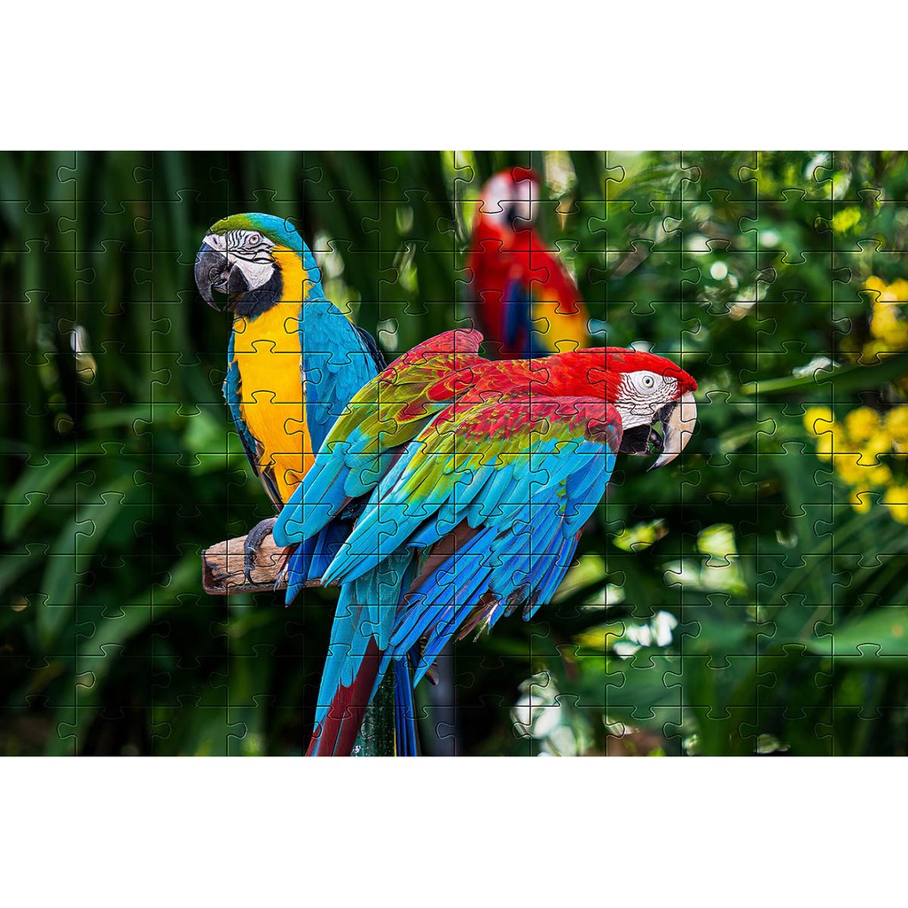 4 Quebra-Cabeça 24 peças atividades para Idosos Peças grandes em Oferta na Shopee