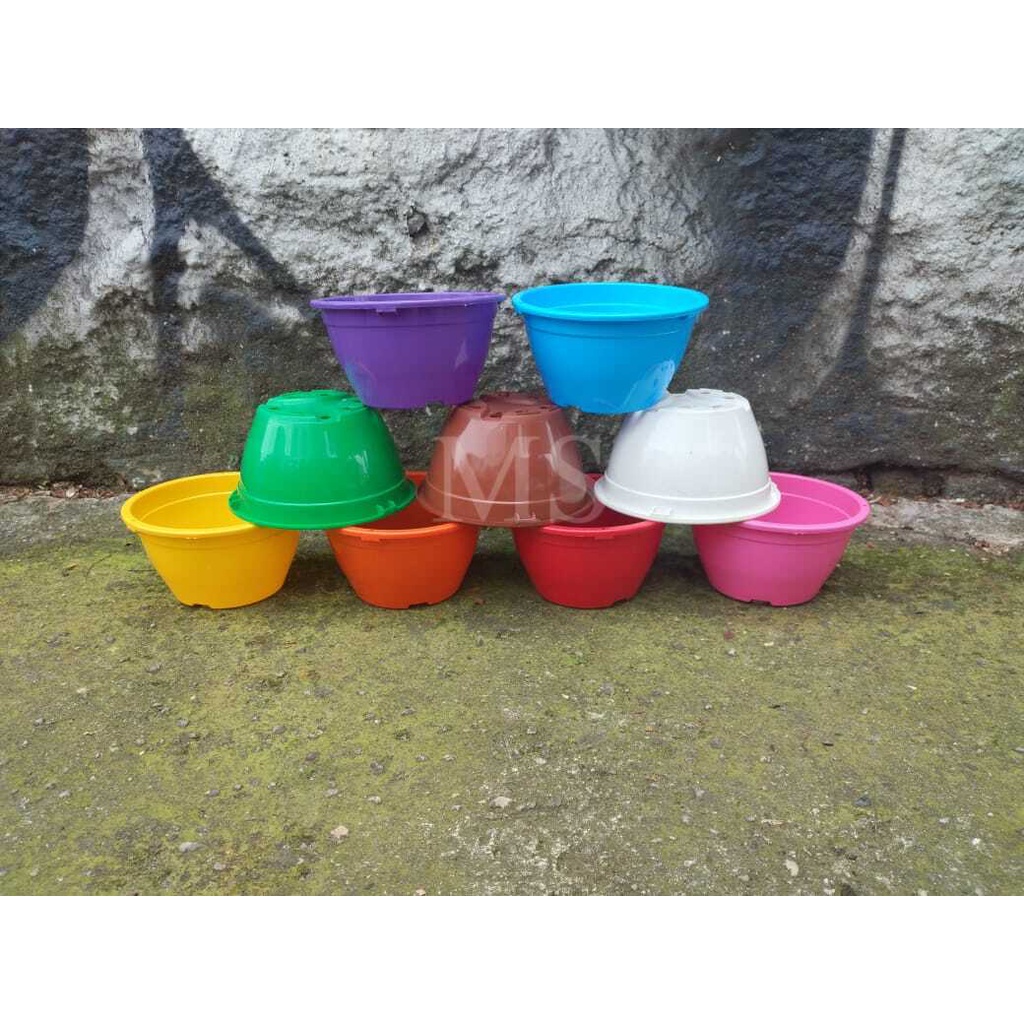50 vasos plásticos cuias coloridas de 500 ml para suculentas e mudas