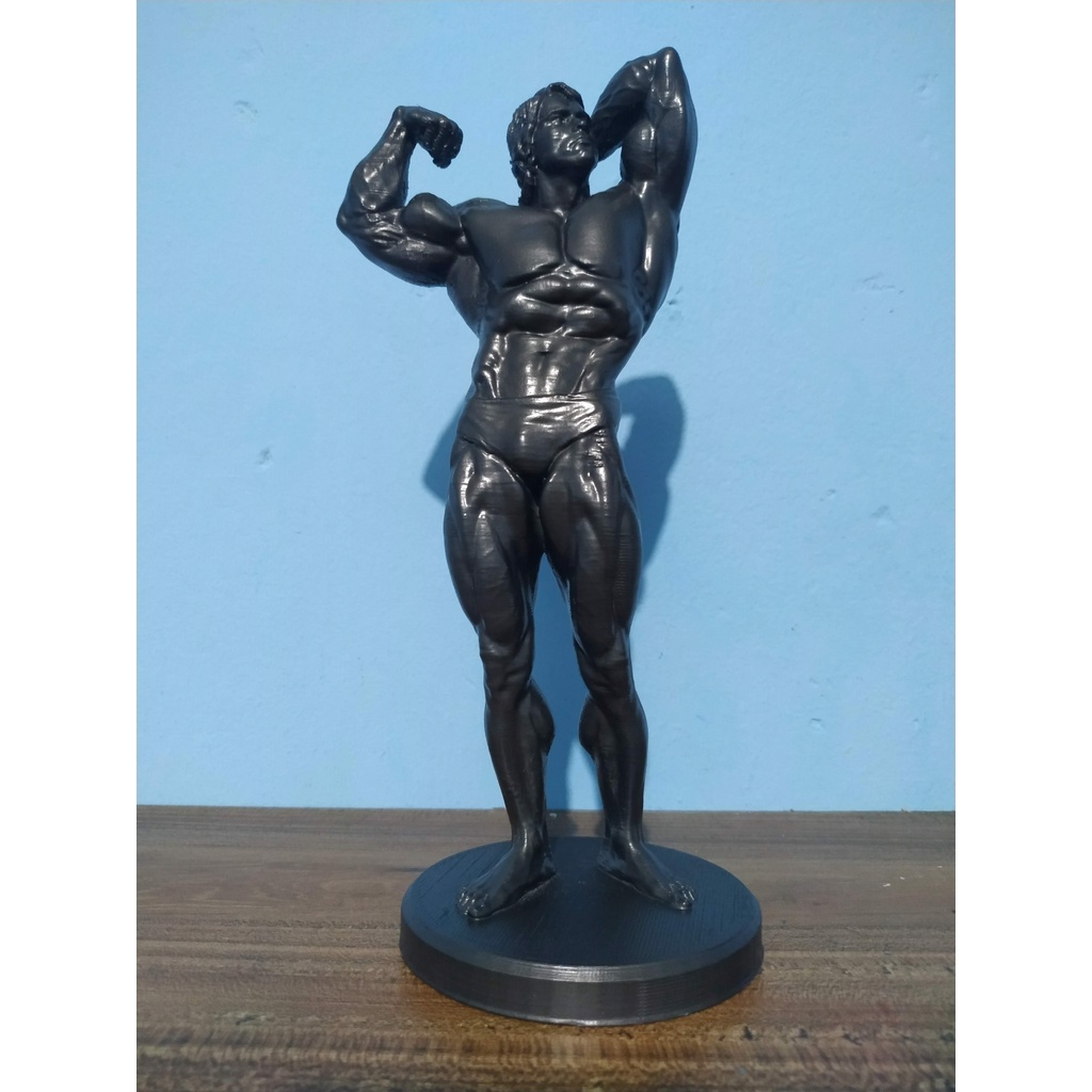 Escultura Arnold Schwarzenegger Cm Fisiculturismo Shopee Brasil