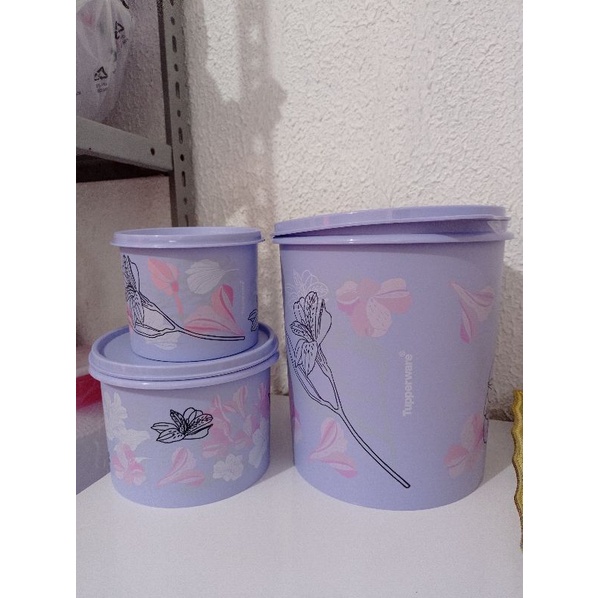 Conjunto Tupperware | Shopee Brasil