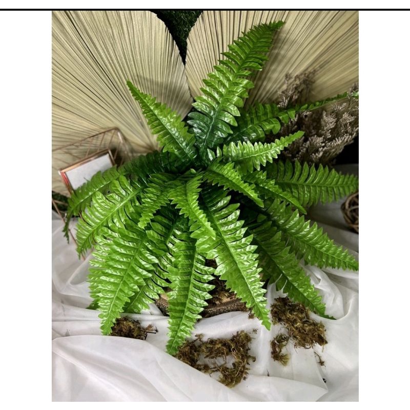 Buque de Samambaia com 15 galhos Artificial de folha  ideal para arranjo em Oferta na Shopee