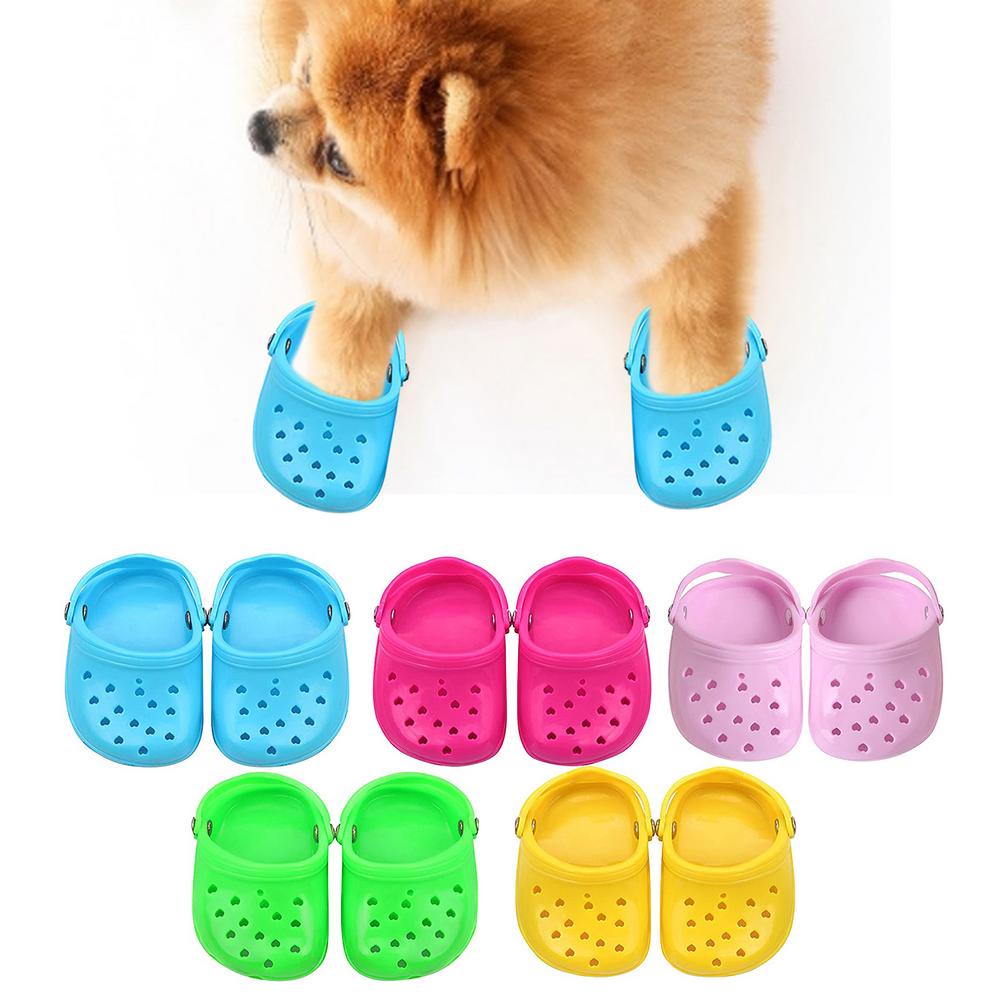 Sandálias respiráveis ​​para cães de estimação no verão sapatos baixos para  cães pequenos | Shopee Brasil