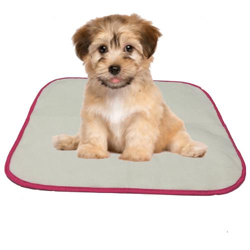 Tapete higiênico lavável para pet dog cachorro cães ducador canino reutilizável