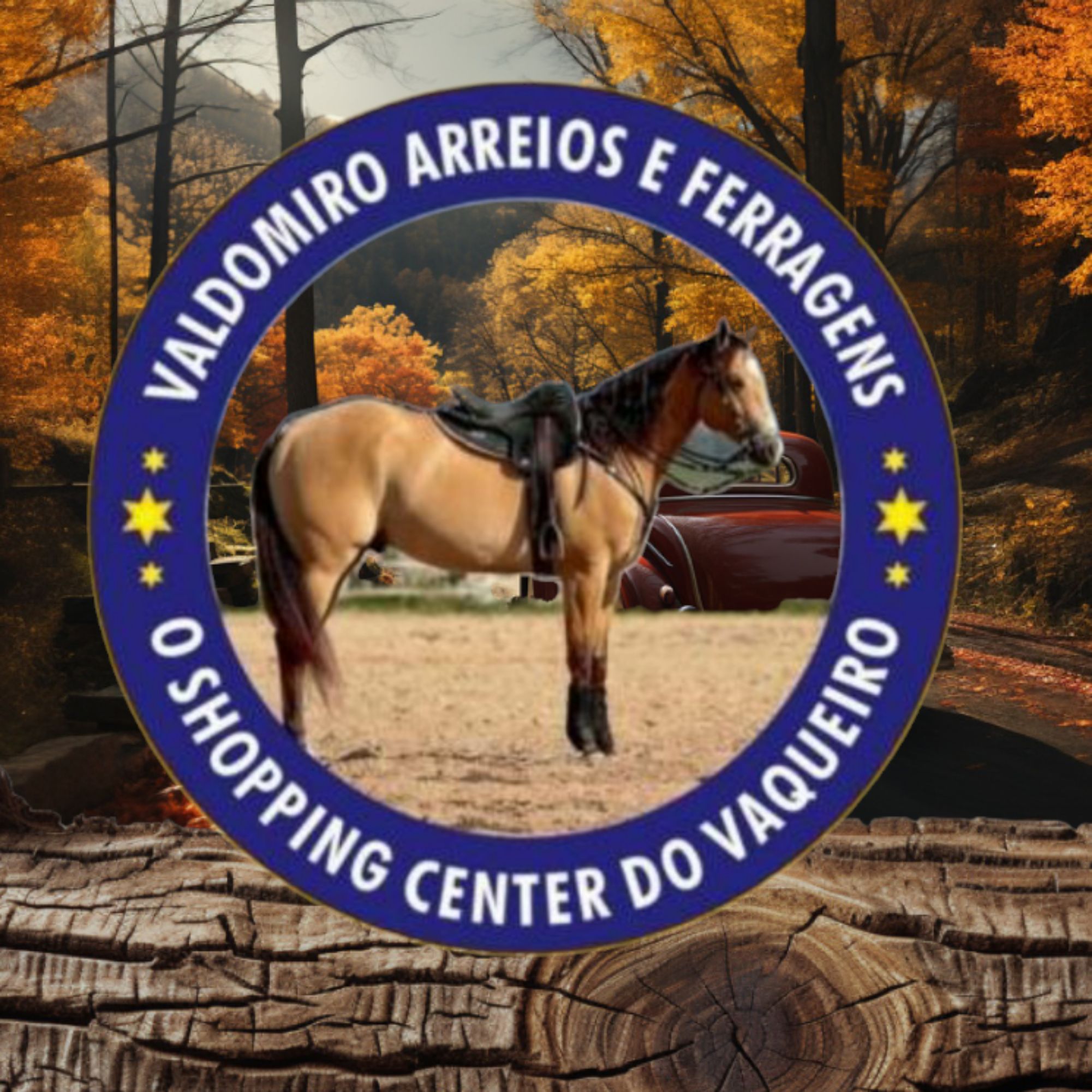 Selaria shopping do vaqueiro 