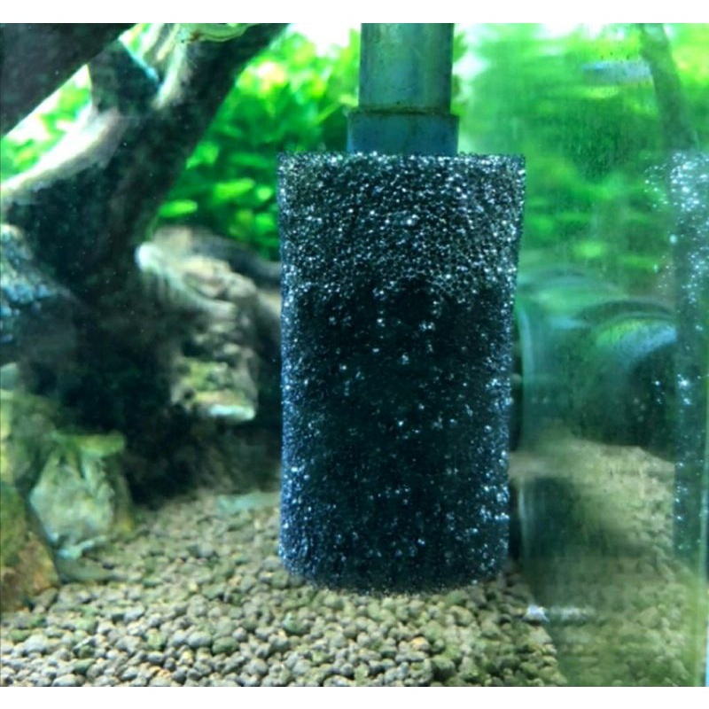 Esponja Protetora Pré Filtro Para Hang on Filtro Externo ou Canister, Protege Alevinos, Camarões, Peixes.
