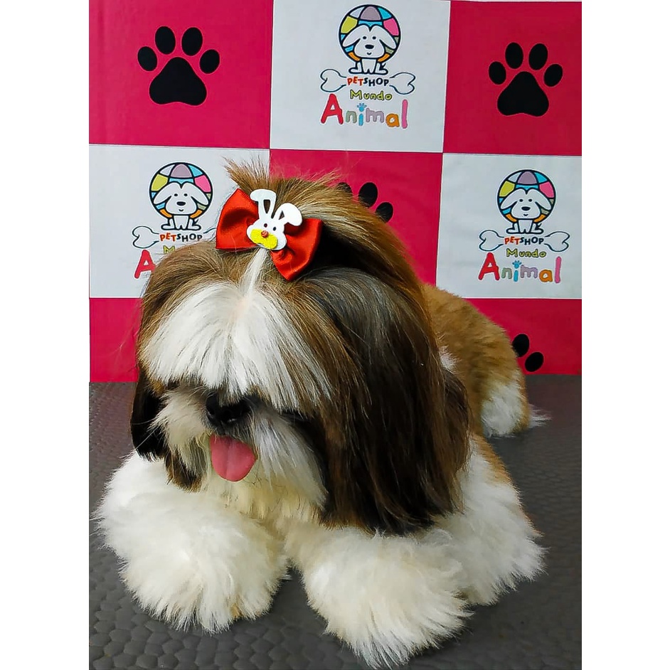 10 LAÇOS PET GRANDE - PÁSCOA COELHO Pet Shop Banho e Tosa Laço Cachorro Fêmea Cão Lacinho Gravata Pet