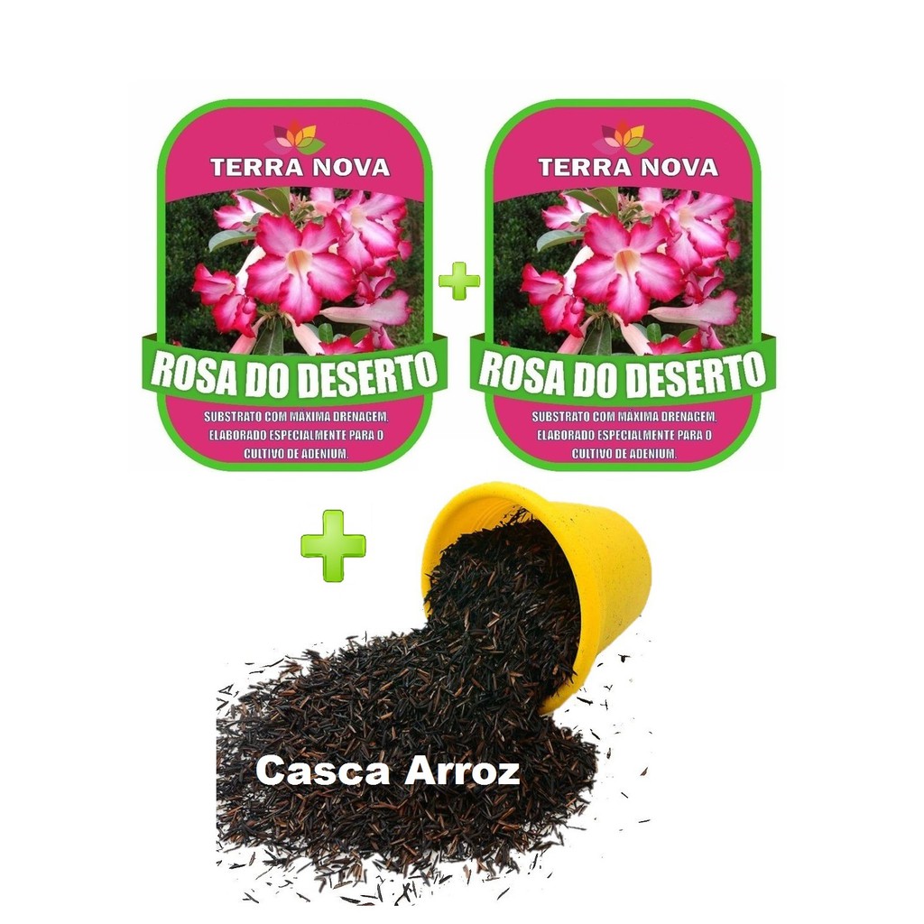 28kg Substrato Rosa do Deserto Terra Nova + 1kg (10 litros) Casca de Arroz Carbonizada