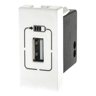 Carregador Usb Parede Modulo e Espelho Bivolt