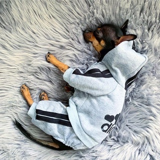 Moda Outono-Inverno Macacão Infantil Para Animais De Estimação