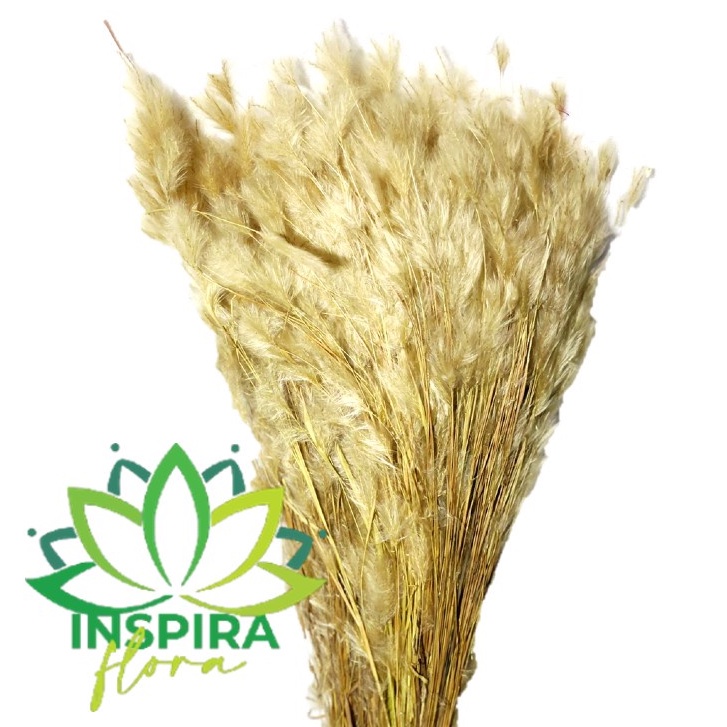 Buquê Noiva Natural: Onde Comprar | BuscaProdutos