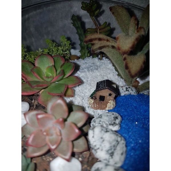 Mini Casinha para Terrários/Jardim de Fadas/Mini Jardim/Jardim de Suculentas