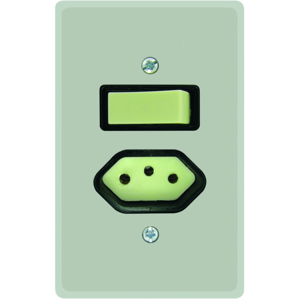 Interruptor Simples + Tomada 2 P+T 10a Linha Prata Radial