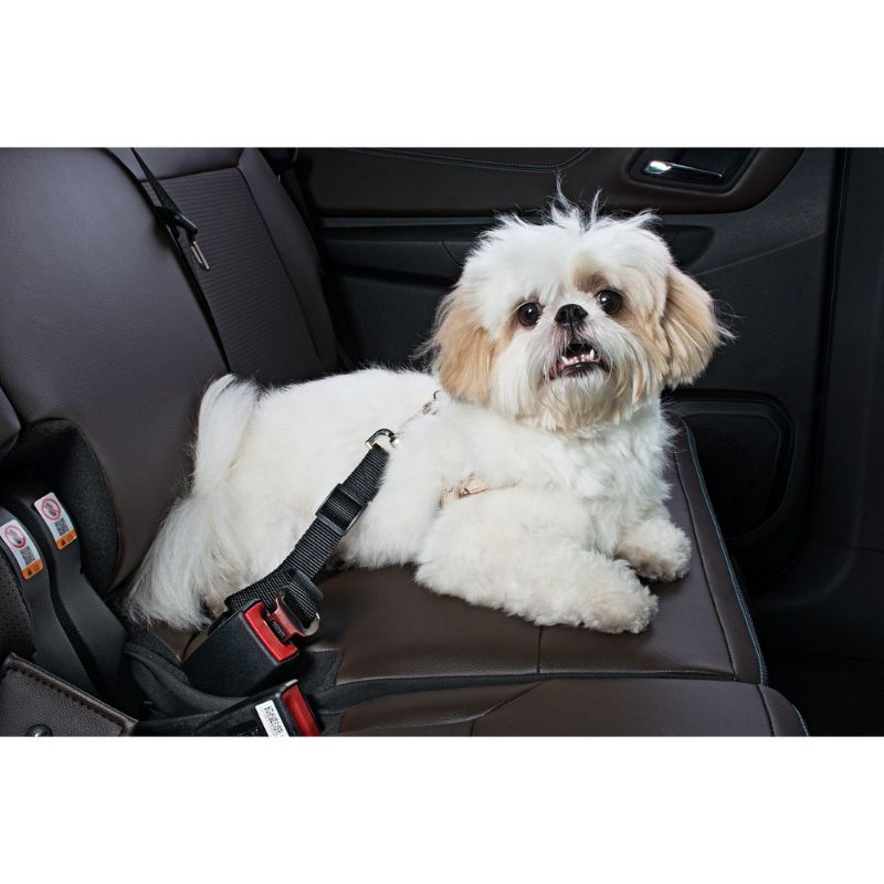 cinto de segurança para Cachorro - Cinto automotivo pet
