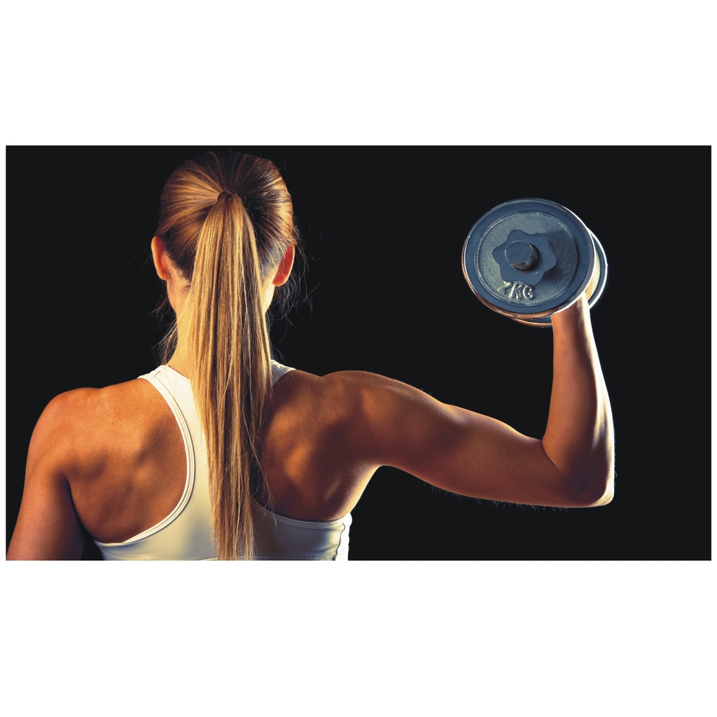 Adesivo Decorativo Academia Musculação Fitness Pilates J 210