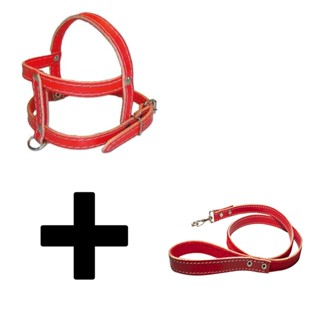 Peitoral Coleira de Couro Para Cachorro + Guia de Couro Para Cães - Coleira Couro Reforçado em Oferta na Shopee