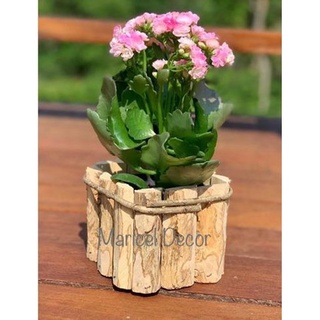 Vaso Cachepô 15x15cm (Crisântemo) Madeira Café Rústico