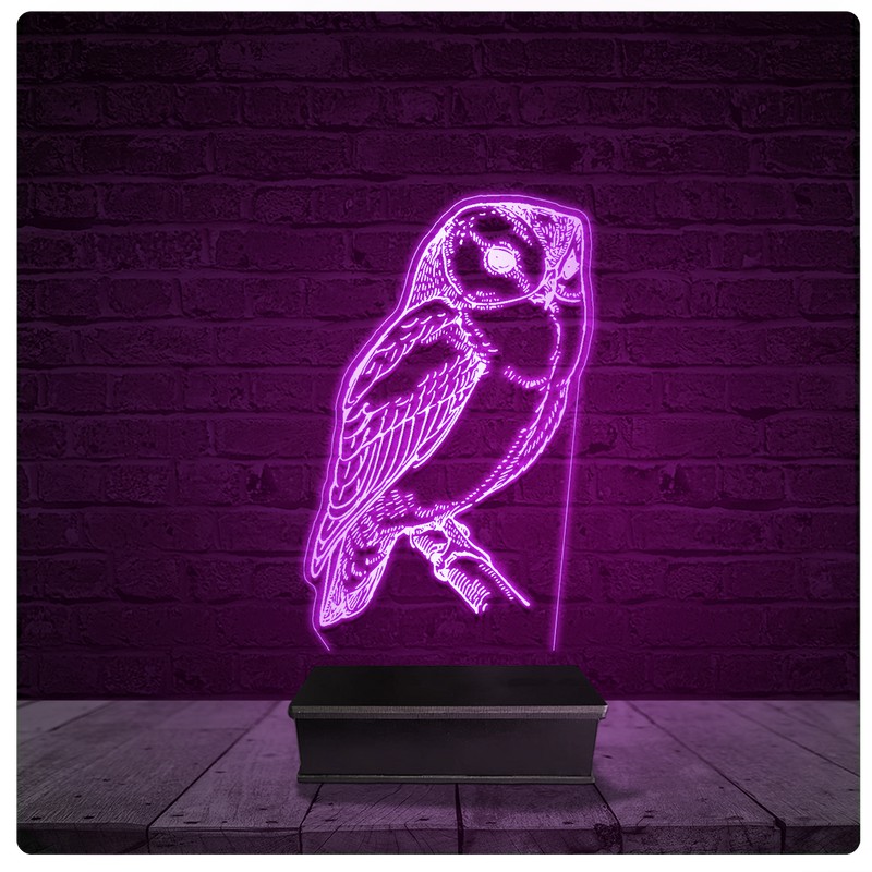 Luminária e Abajur Acrílico Led - Coruja Ave falcoaria