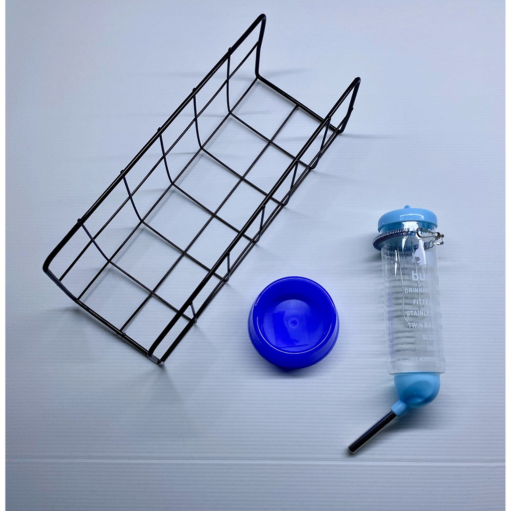 Comida Porquinho da India: Onde Comprar | BuscaProdutos