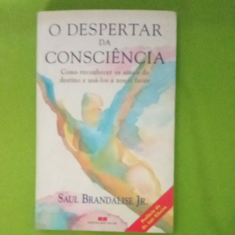 Livro O Despertar Da Consciência-Como reconhecer os sinais do destino e usá-los a nosso favor-Sail Brandalise-794