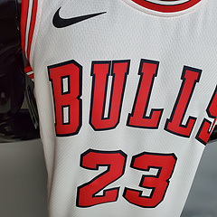 camiseta jordan bulls 23