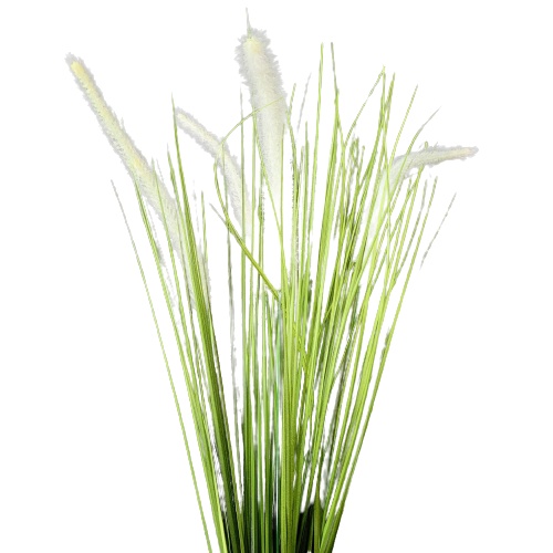 Pluma Branca: Guia Completo e Onde Comprar | BuscaProdutos