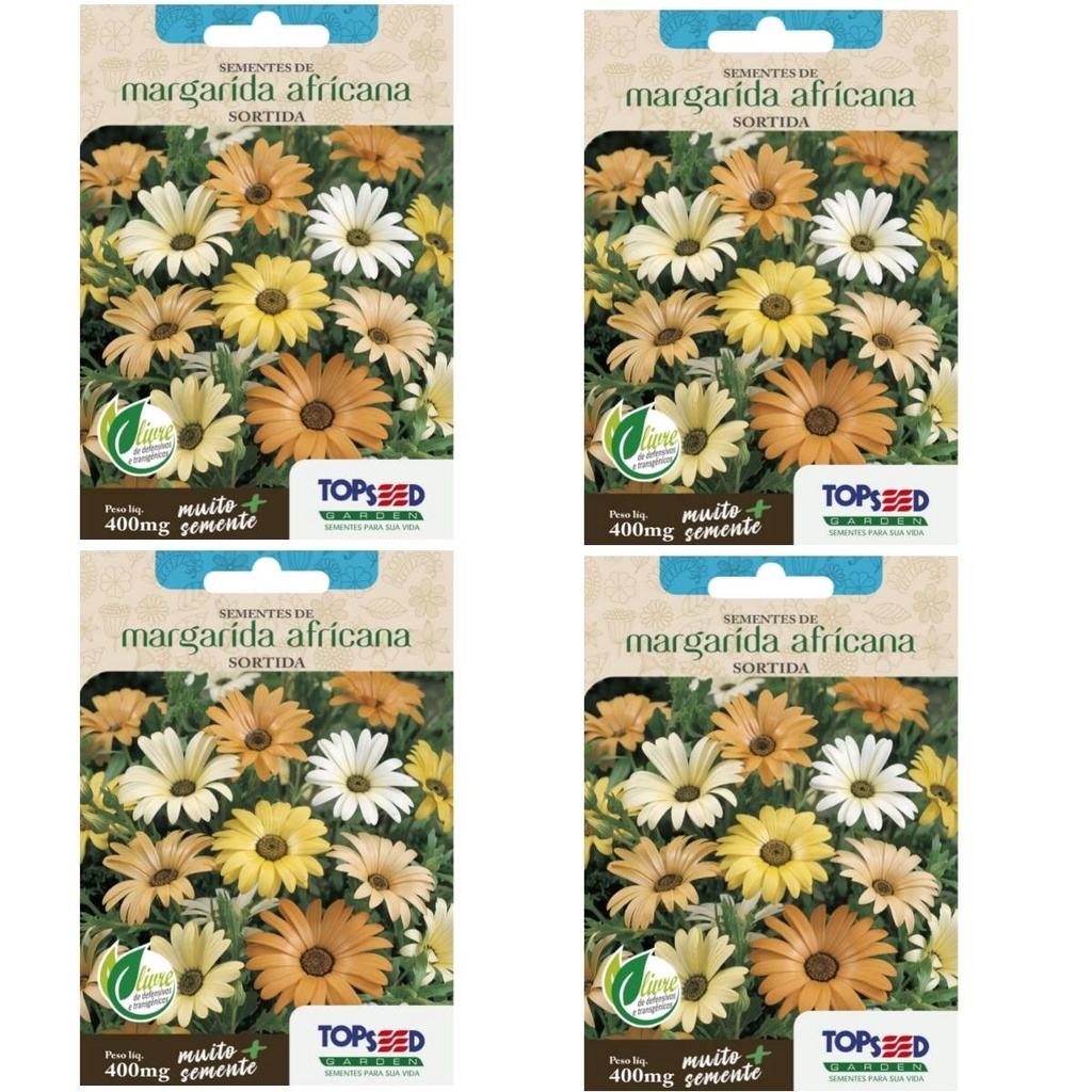 4X Sementes de Margarida Africana (Sortida) TOPSEED