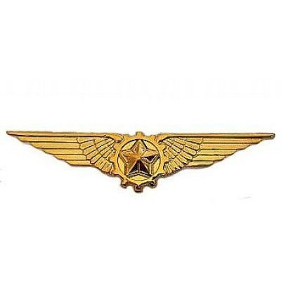 Broche Brevê - Especialista FAB Aeronáutica