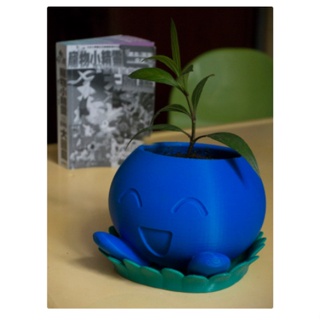 Vaso Suculentas Pokemon Oddish v2 em Oferta na Shopee