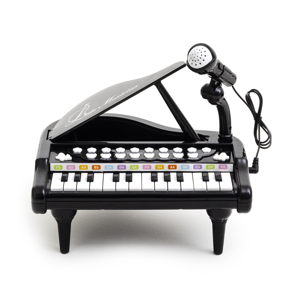 Piano Teclado Infantil Com Microfone
