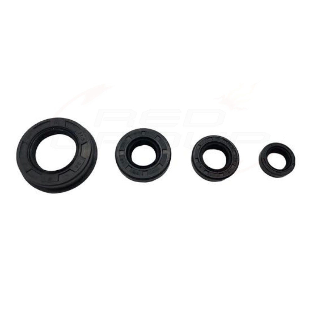 Kit Retentores Motor CB 300