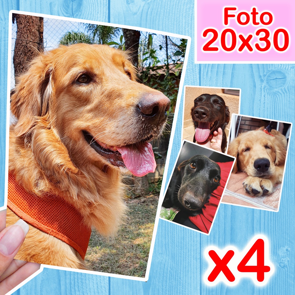 O que é Fujifilm 4? Guia e Onde Comprar | BuscaProdutos