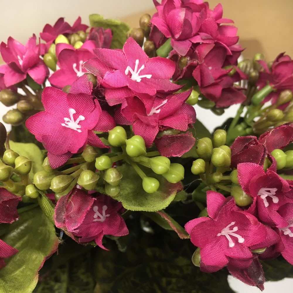 Buquê Flor da Fortuna Kalanchoe Flores Purpura/Roxo Planta Artificial 23cm  (Produto de Mostruário) | Shopee Brasil