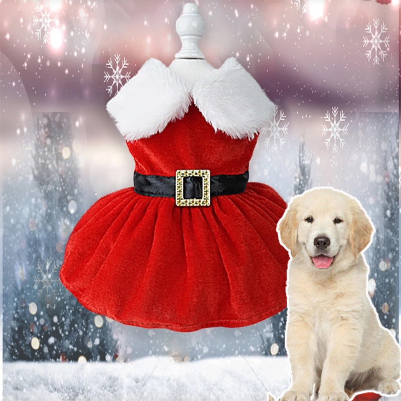 roupa de natal para cachorro em Promoção na Shopee Brasil 2023
