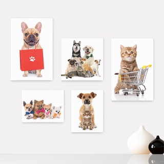 Kit 5 Quadros Decorativos Placas - Pet Shop - Gatos - Cachorros - Animais - Veterinário Casa Quarto Sala - 259ktpl5
