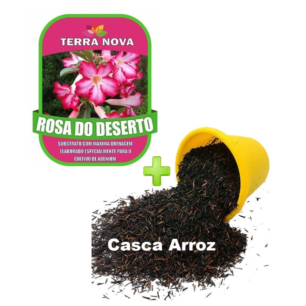 14kg Substrato Rosa do Deserto Terra Nova + 2kg (20 litros) Casca de Arroz Carbonizada